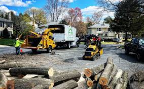 How Our Tree Care Process Works  in  Colwich, KS